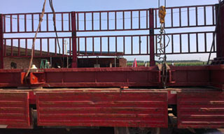 �����T��l�T